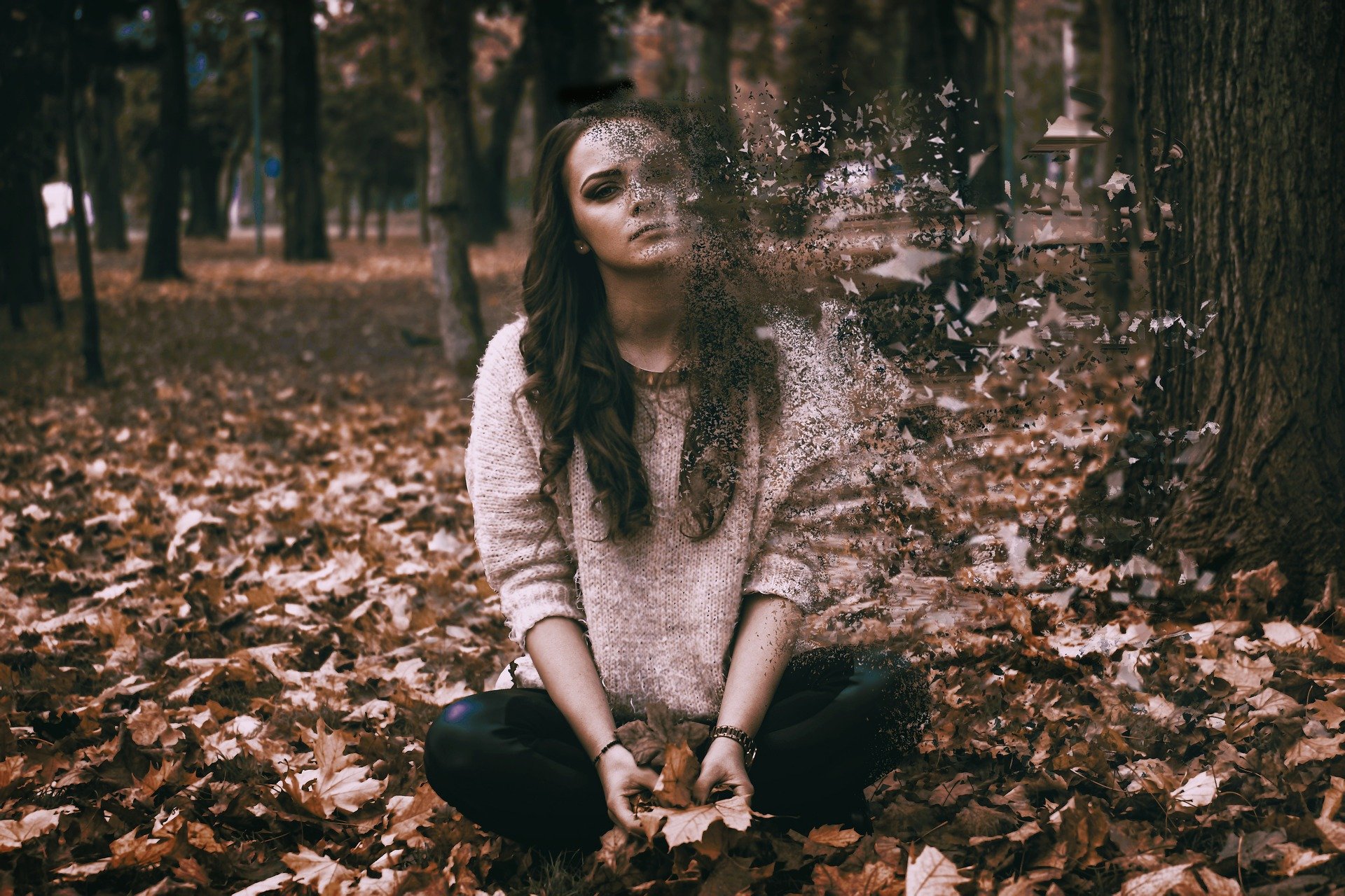 sadness-3434515_1920